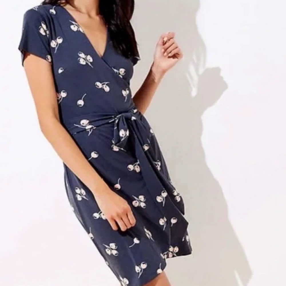 Loft cherries dress